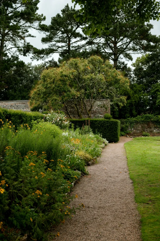Diagram of the three-layer cottage garden planting method