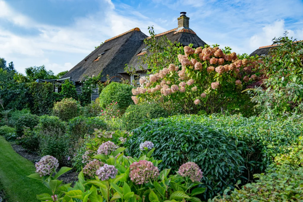 Budget cottage garden planted with bare-root roses and perennials