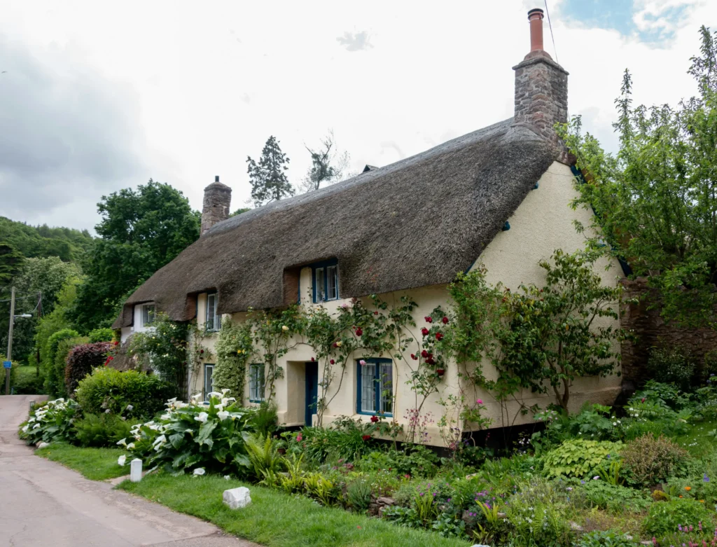 Classic English cottage garden border with foxgloves and delphiniums