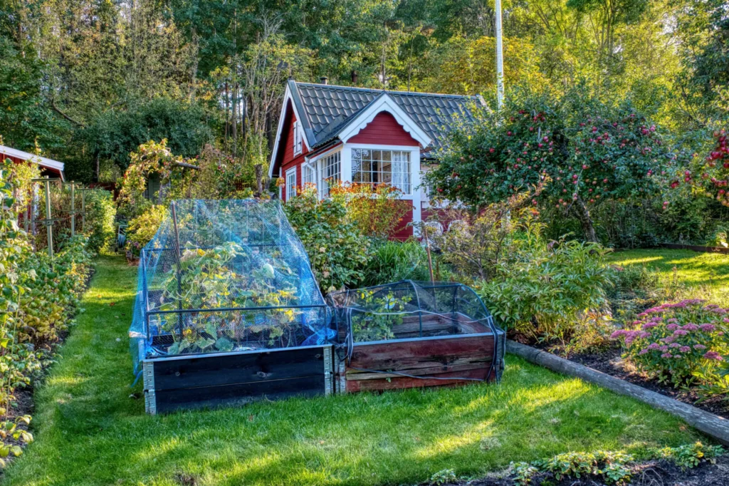 Small cottage garden with vertical climbing plants on a fence