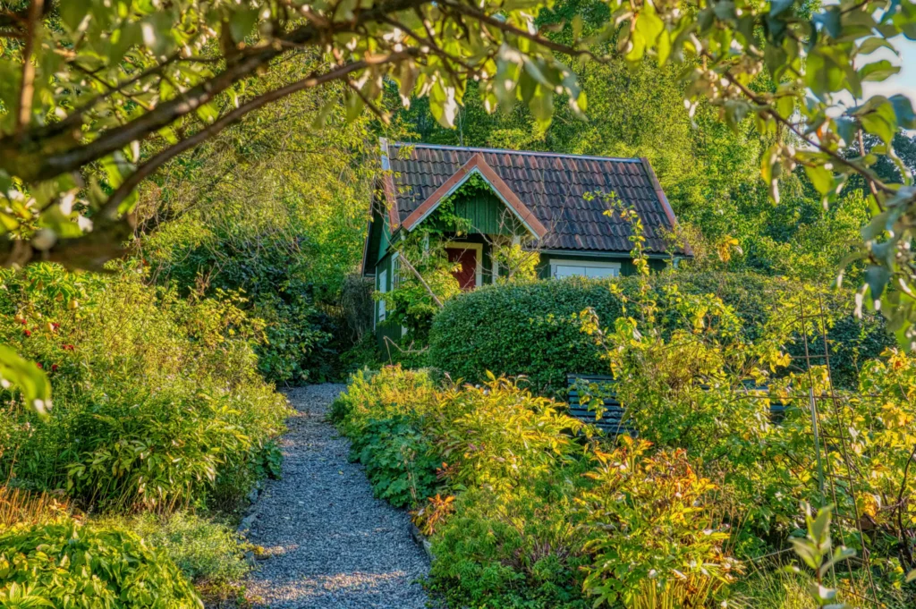 Woodland cottage garden with shade-tolerant ferns and hostas