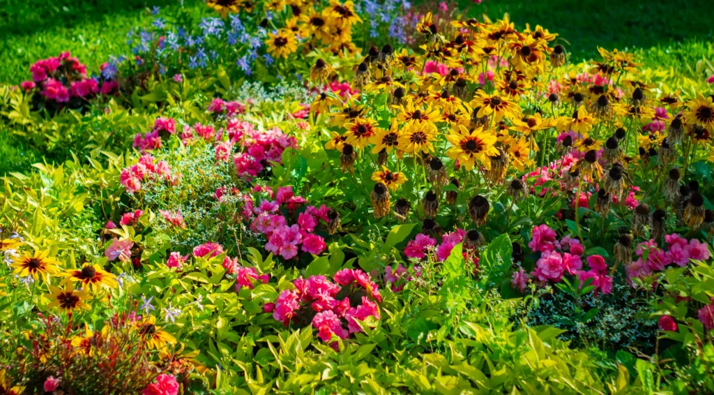 Flower border showing bloom succession from spring to autumn