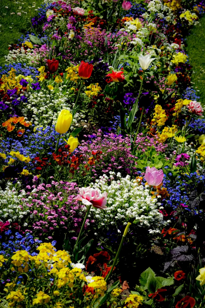 Flower bed planted in a coordinated pink and purple colour scheme