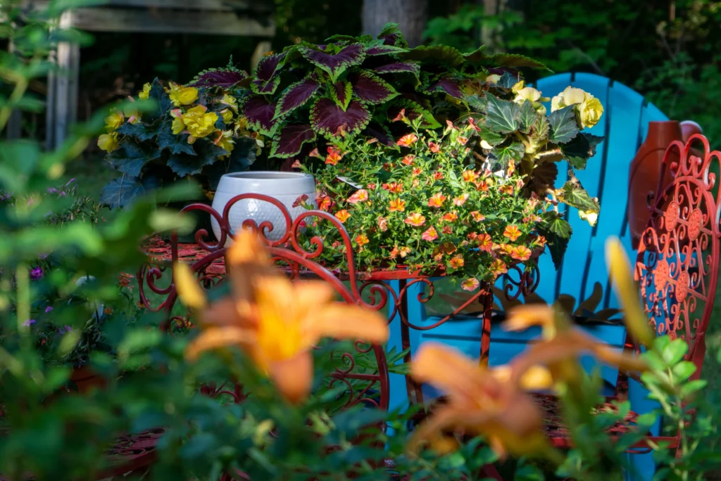 Shade flower garden with hostas and astilbe under trees