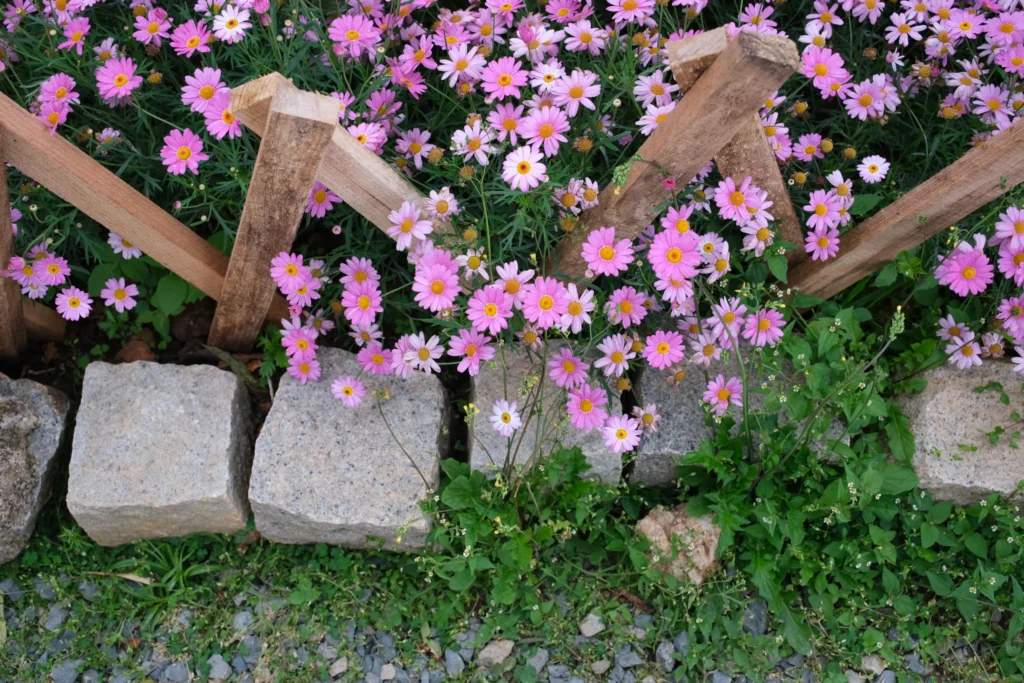 Natural stone edging along a garden border