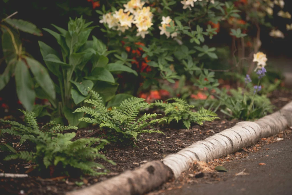 Timber sleeper edging around a raised garden bed
