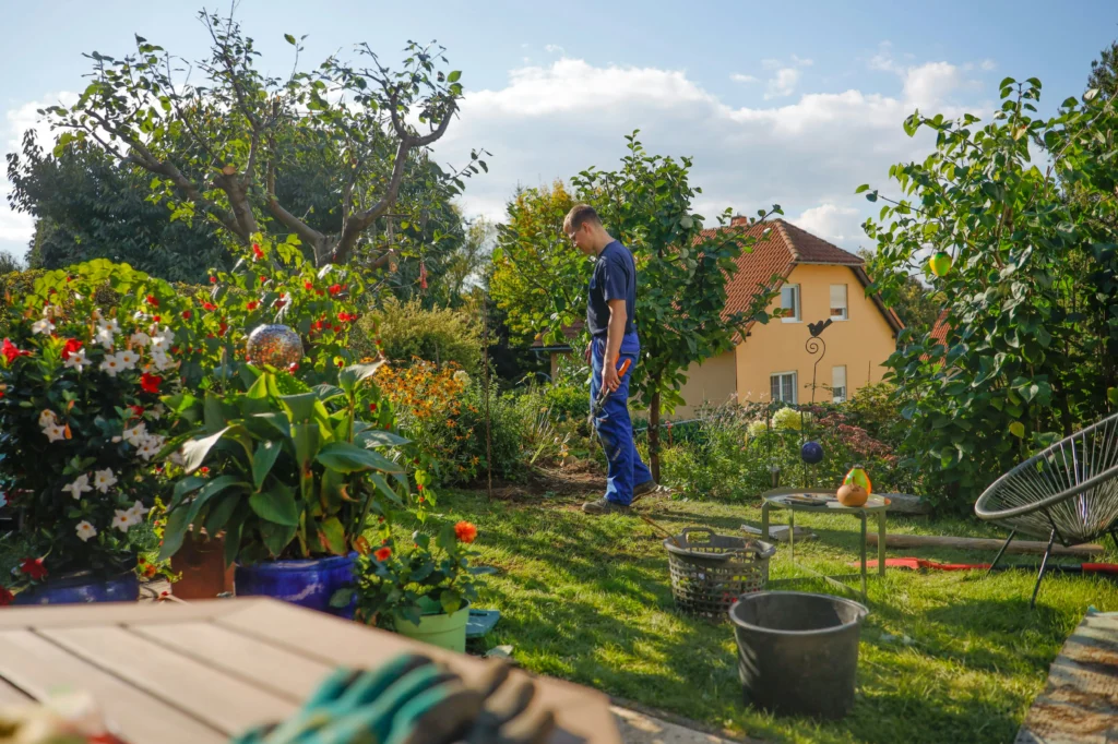 Gardener tending a border of flowering plants