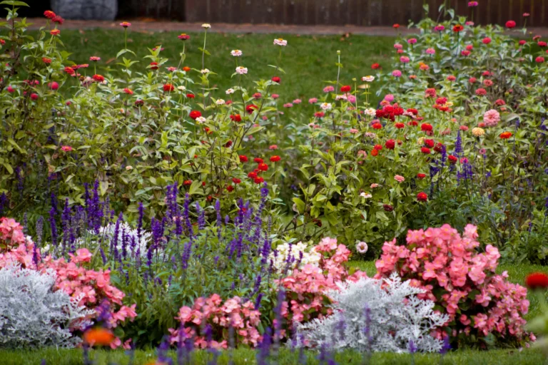 Flower garden bed with colourful perennial planting