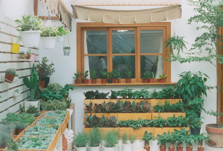 Small garden design with raised beds and vertical planting