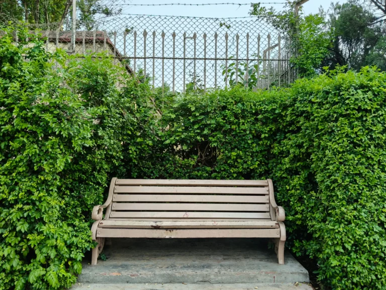 Trellis with climbing plants screening a small garden