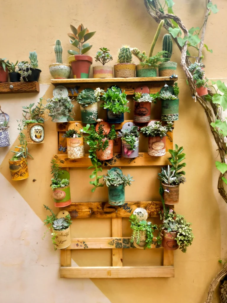 Vertical planting on a wall in a small garden